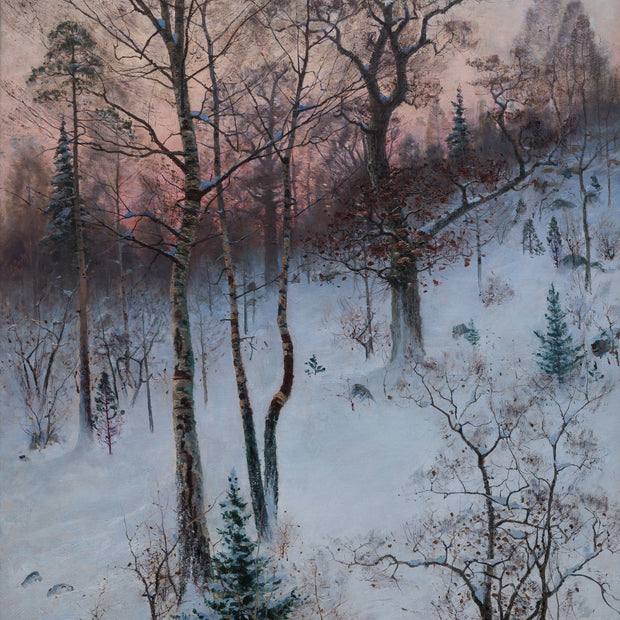 Carl Johansson - Winter Landscape From Björksätra, 1887
