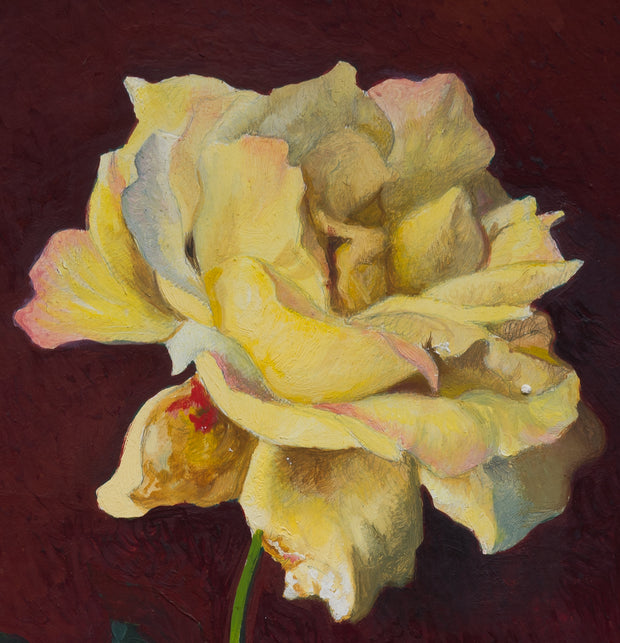 Owe Zerge - Yellow Rose