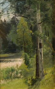 Alfred Thörne - Birch Trees by the Stream