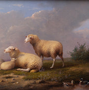 Franz van Severdonck - Sheep, Ducks and Hens - CLASSICARTWORKS