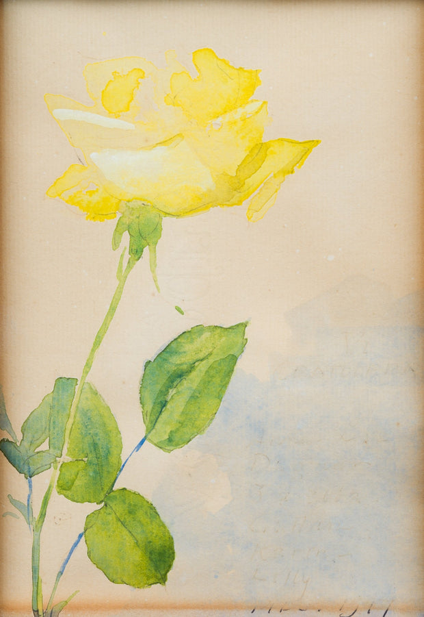 Olle Hjortzberg - A Yellow Rose - CLASSICARTWORKS