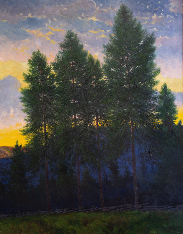 Oscar Lycke - Pines in Sunset, Motif from Liden - CLASSICARTWORKS