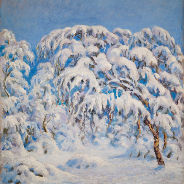 Karl Tirén - Birch Trees Covered With Heavy Snow