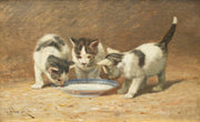 John Henry Dolph - Kittens Drinking Milk
