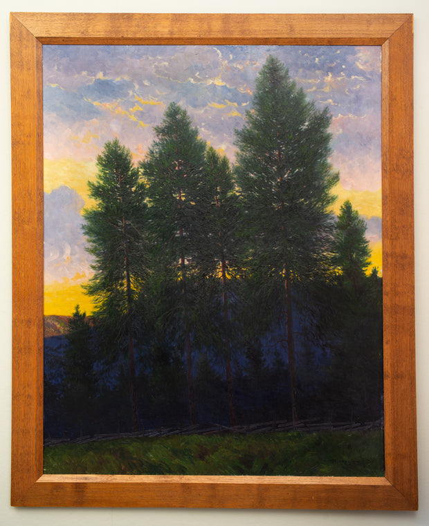 Oscar Lycke - Pines in Sunset, Motif from Liden